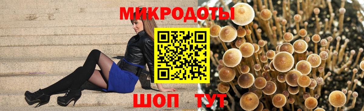 Галлюциногенные грибы мухоморы  Моршанск 