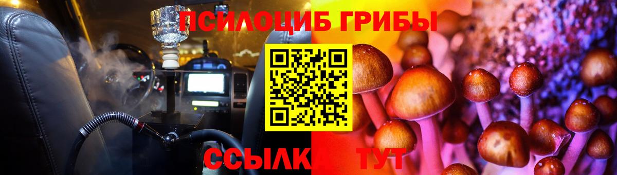 Моршанск  Псилоцибиновые грибы GOLDEN TEACHER  Вход с VPN 